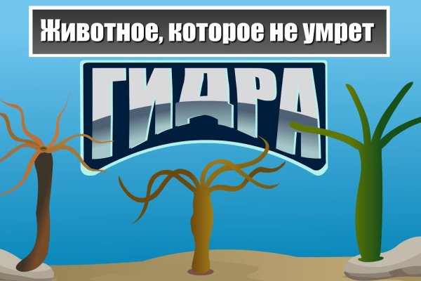 Кракен маркет даркнет только через тор