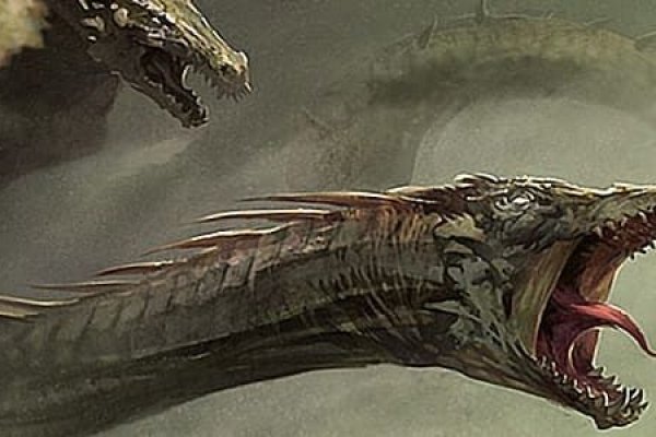 Kraken 12 at