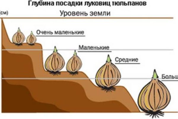 Кракен ссылку где