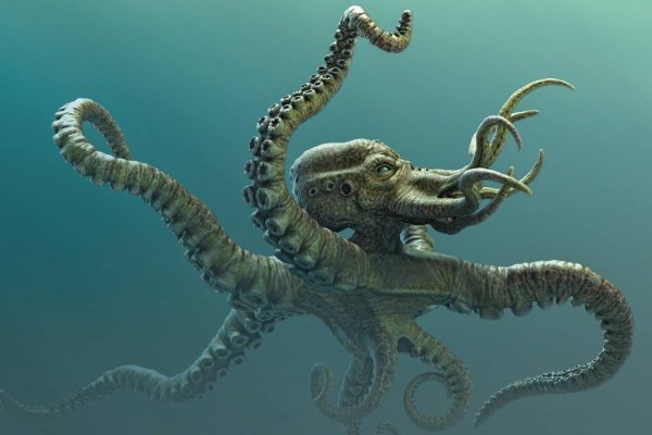 Kraken рабочая ссылка 2025