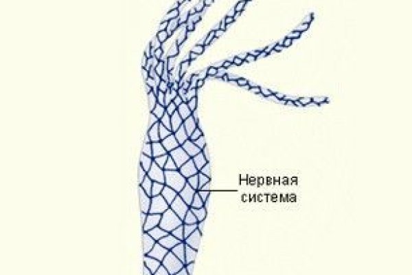Действующие ссылки на кракен