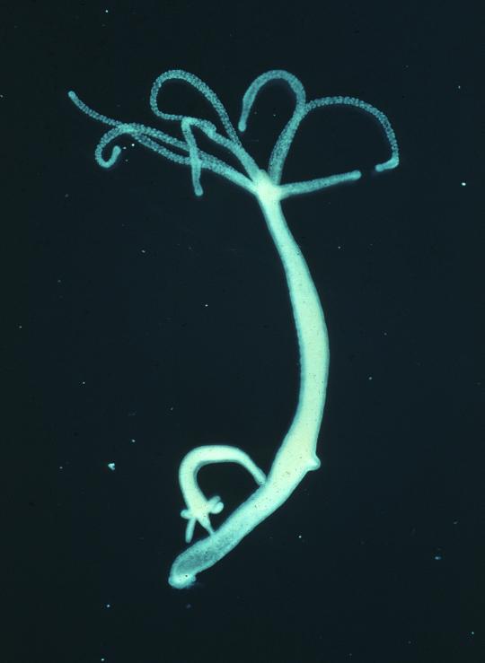 Kraken onion вход
